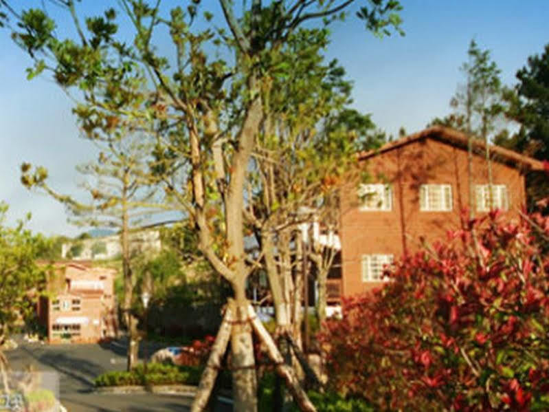 Arbon Youth Hostel & Resort Jeju Dış mekan fotoğraf