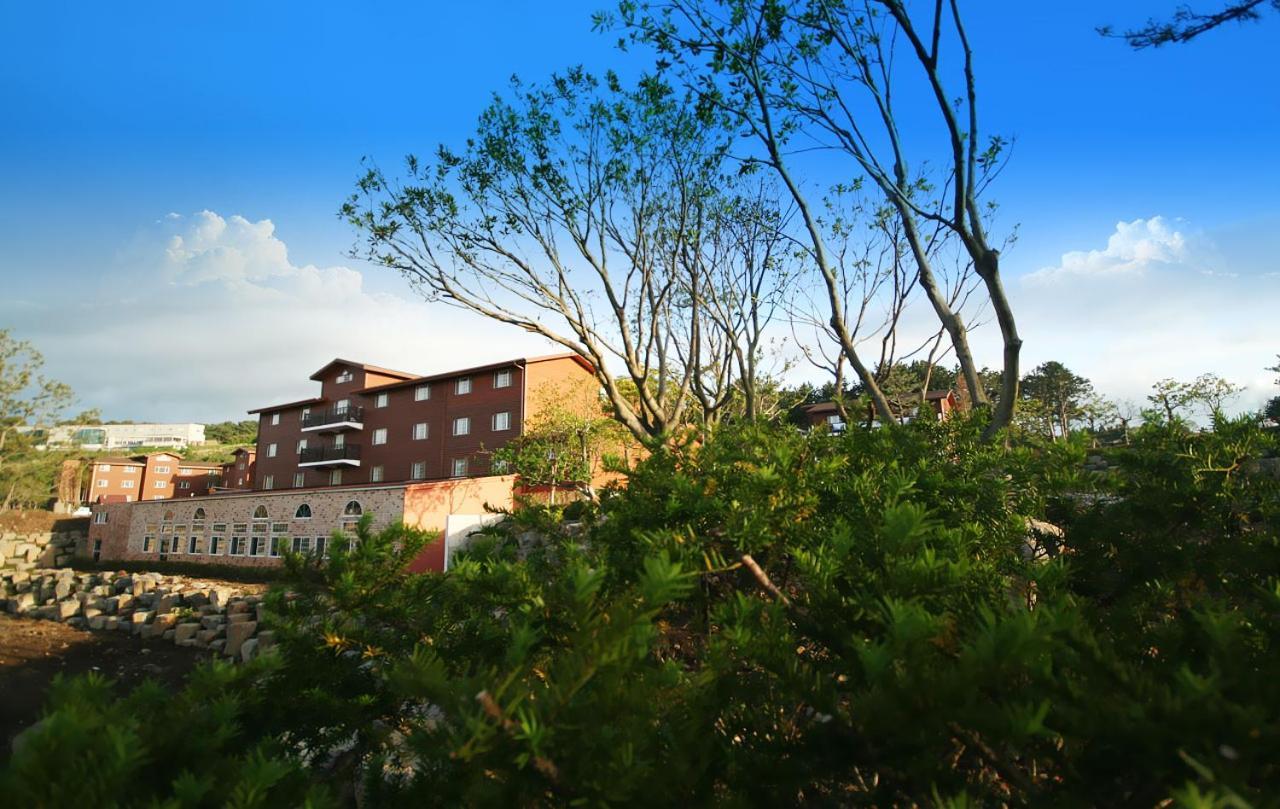 Arbon Youth Hostel & Resort Jeju Dış mekan fotoğraf